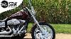 Genuine Harley-davidson Fxdl Dyna Low Rider Fxdls Seat No Lumbar Pad 2006-2017